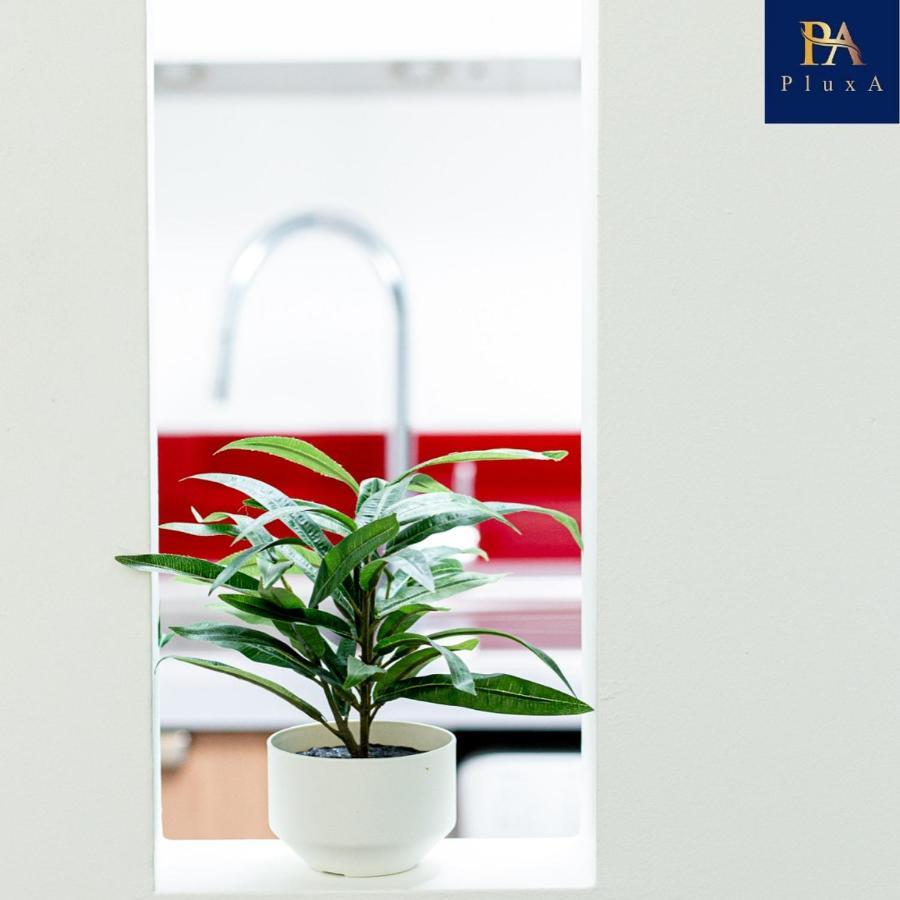 Pluxa Vivid Veranda Beautiful City Centre Apartment With Free Parking 버밍엄 외부 사진